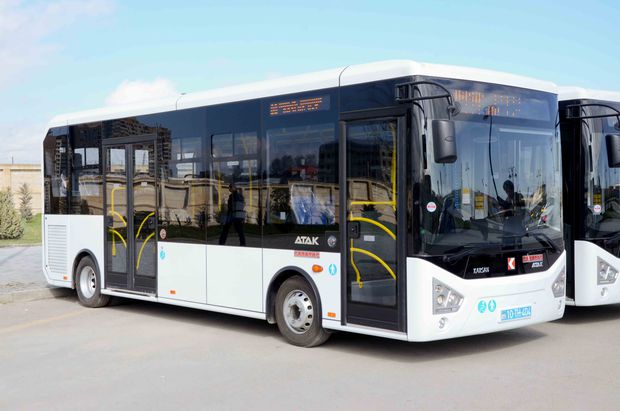 avtobus 12