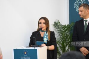 Bununla Türk coğrafiyasının inkişafına nail olmaq olar - Aygün Əliyeva