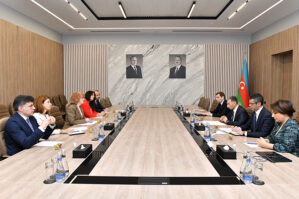 Rəşad Nəbiyev CISCO-nun baş vitse-prezidenti ilə görüşdü