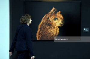 COP29 dəhlizində təbiətlə üz-üzə... - FOTOLAR