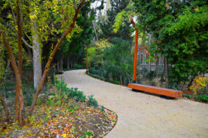 Sabah 21 dərəcə isti olacaq