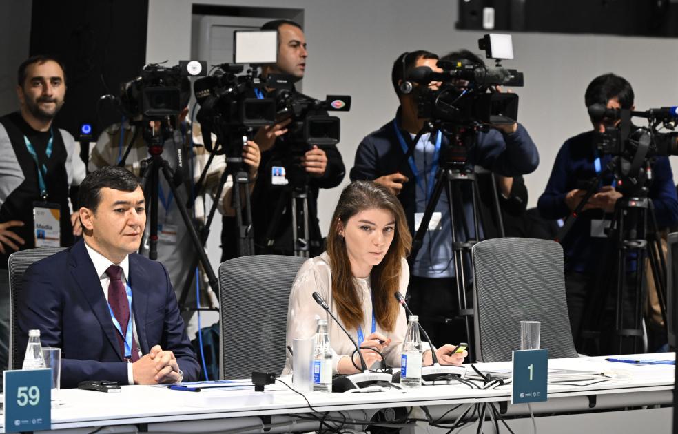 Azərbaycanda elektrik nəqliyyat vasitələrinin xüsusi çəkisi artıb - FOTO 3 id 2