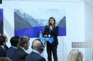 Təşkilatlar ekosistemlərin bərpası üçün əl-ələ verə bilər - İvana Jivkoviç