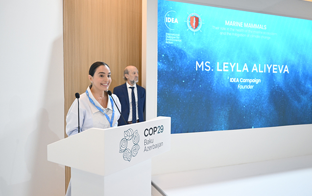 Leyla Əliyeva COP29 çərçivəsində müzakirələrdə iştirak etdi - FOTOLAR