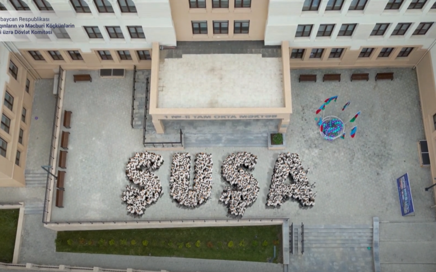 susa flesmob