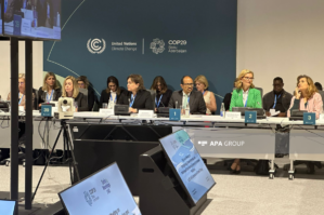 Bu, icmaları təhlükələrdən qorumağa imkan verəcək - Umayra Tağıyeva