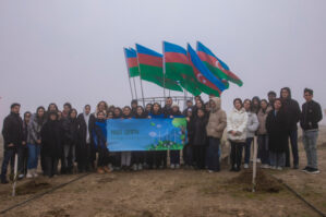 Növbəti ağacəkmə aksiyası keçirildi - FOTOLAR