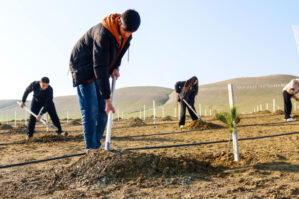 Dünya Torpaq Günü münasibətilə ağacəkmə aksiyası təşkil olundu - FOTOLAR