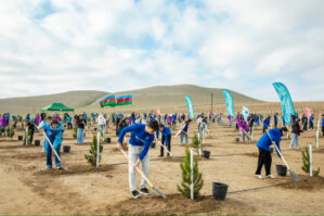 “Yaşıl fidanlar” ağacəkmə aksiyası keçirildi - FOTOLAR