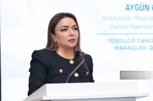 O zaman QHT-lərlə bağlı ciddi problemlər var idi - Aygün Əliyeva