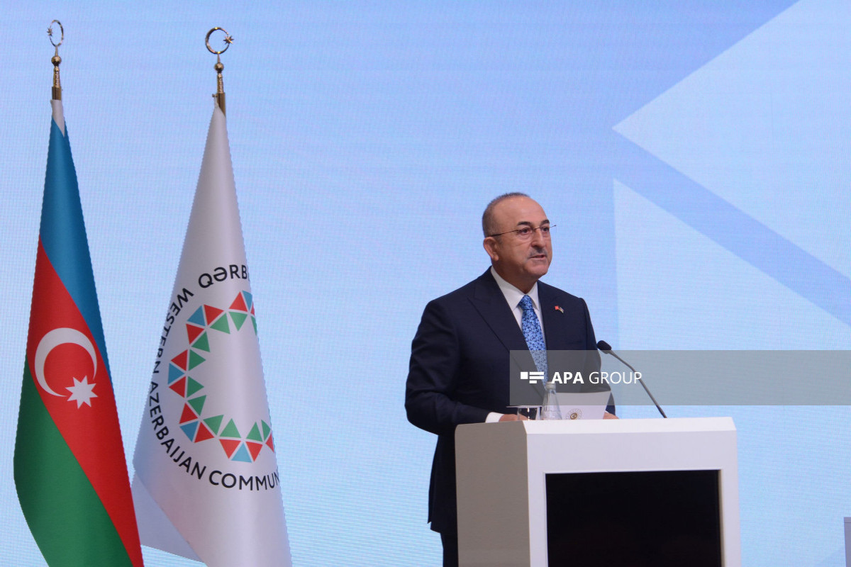 cavusoglu apa