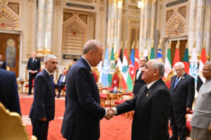 Əli Əsədov Ərdoğan və digər dövlət başçıları ilə görüşdü - FOTOLAR