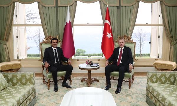 erdogan tamim