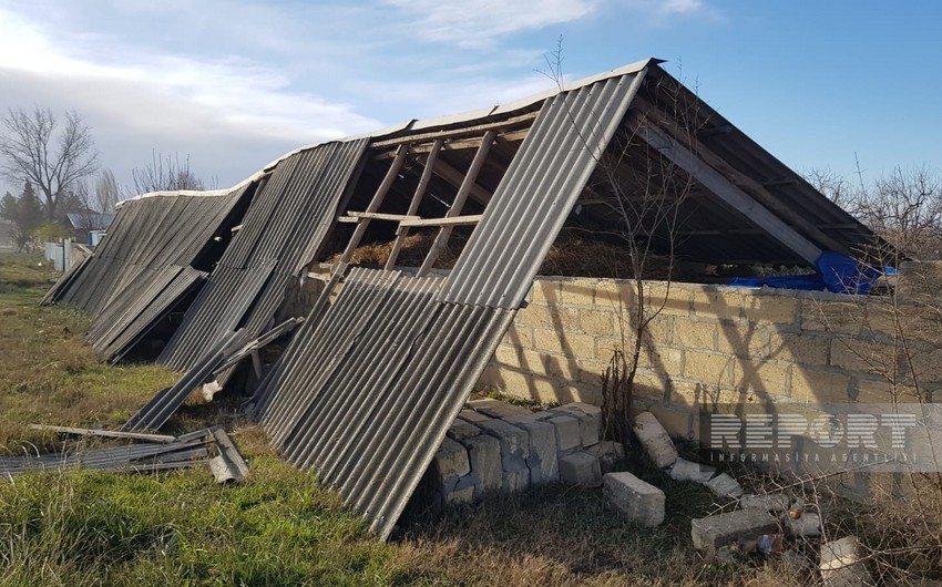Güclü külək bu rayonu işıqsız qoydu - FOTOLAR