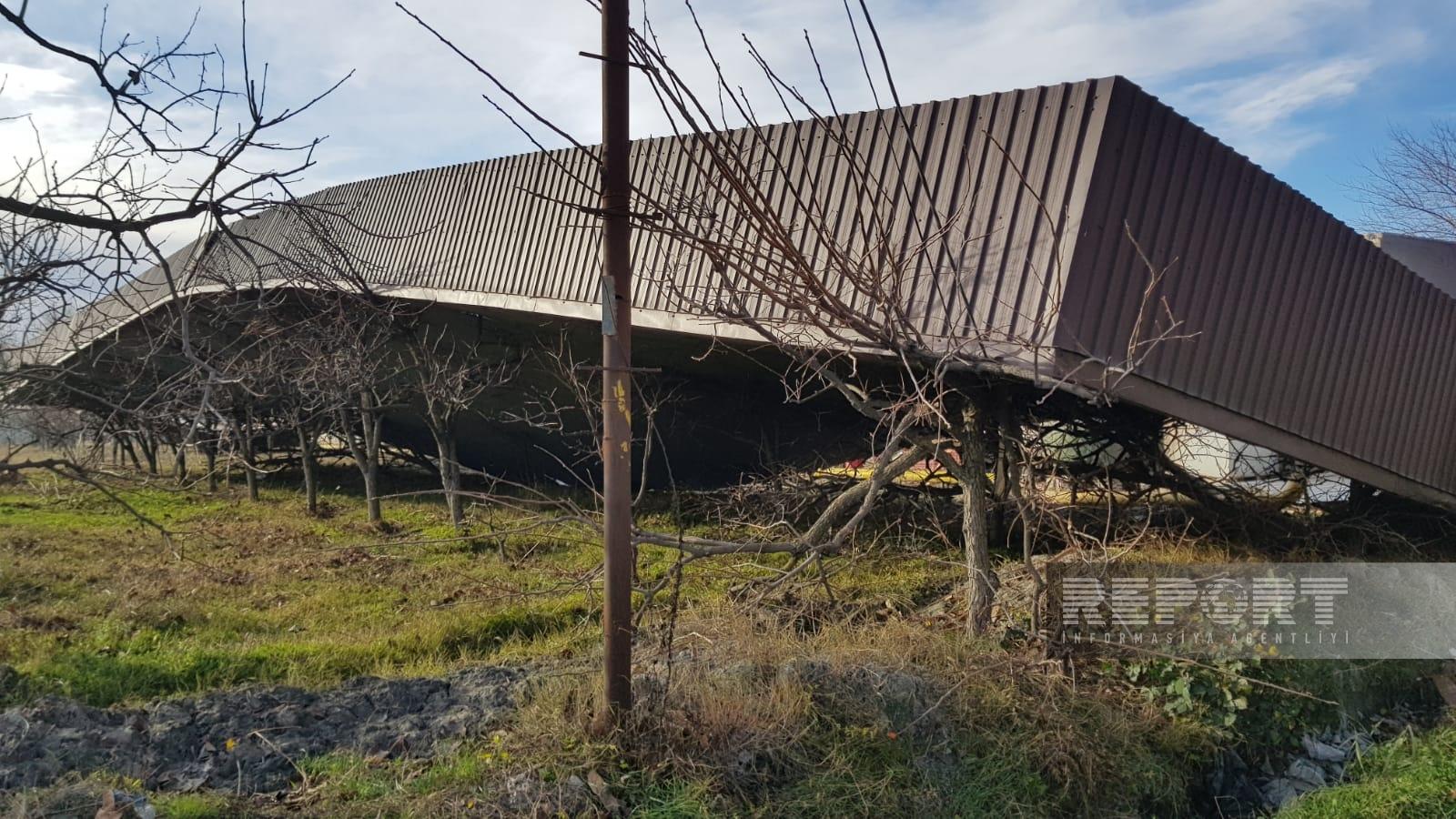 Güclü külək bu rayonu işıqsız qoydu - FOTOLAR