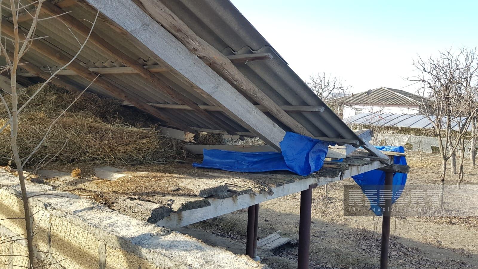 Güclü külək bu rayonu işıqsız qoydu - FOTOLAR