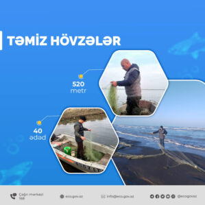 tasmi
