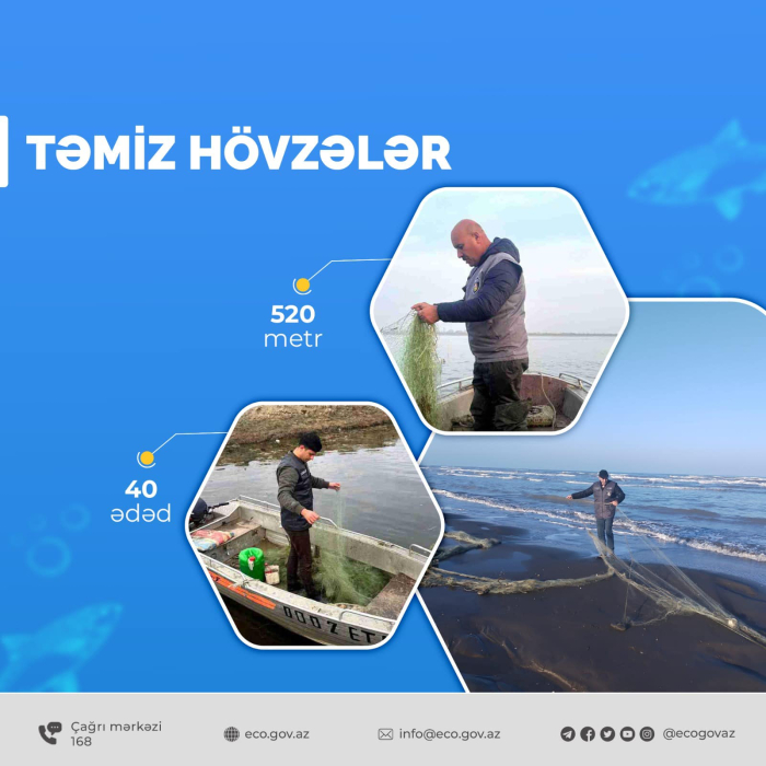 tasmi