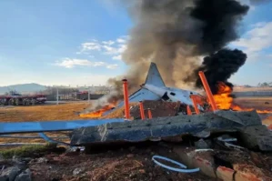 Muanda qəzaya uğrayan təyyarə quşla toqquşub - ANBAAN VİDEO