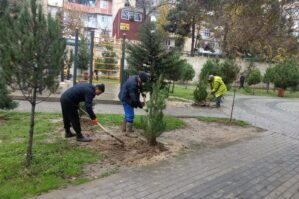 Xətaidə aksiya keçirildi: 500 ağac... - FOTOLAR