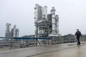 Avropada qazın qiyməti ucuzlaşdı - SƏBƏB