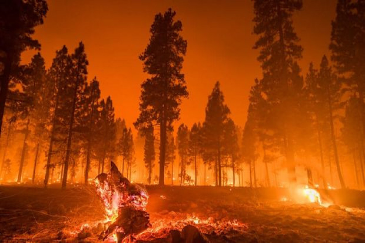 Los-Ancelesdə meşə yanğınları istiqamətini dəyişib