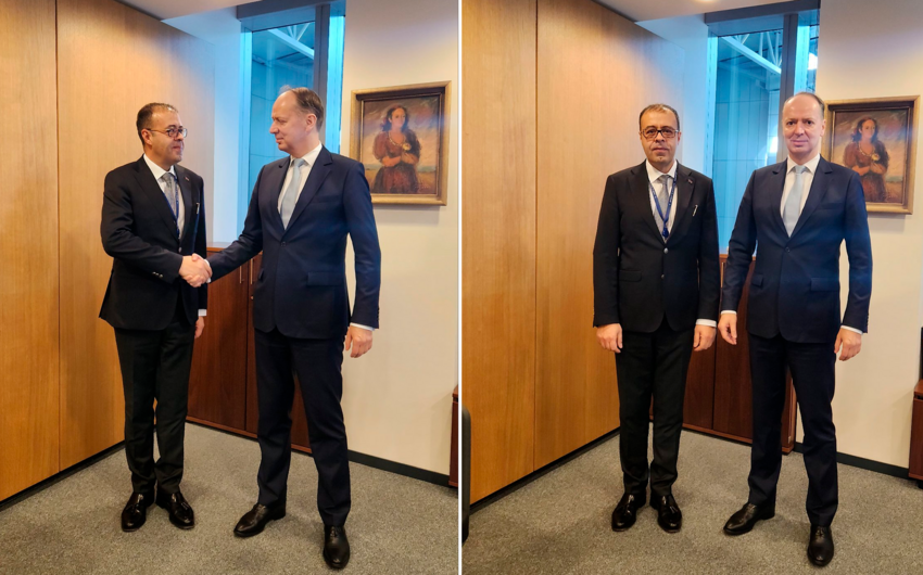 Hüseynzadə Benedeyçiçlə Bakının töhfəsindən danışdı