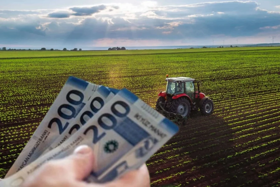 Subsidiya şərtlərində dəyişiklik: Hansı xərclərin 70 faizini dövlət qarşılayacaq? - VİDEO