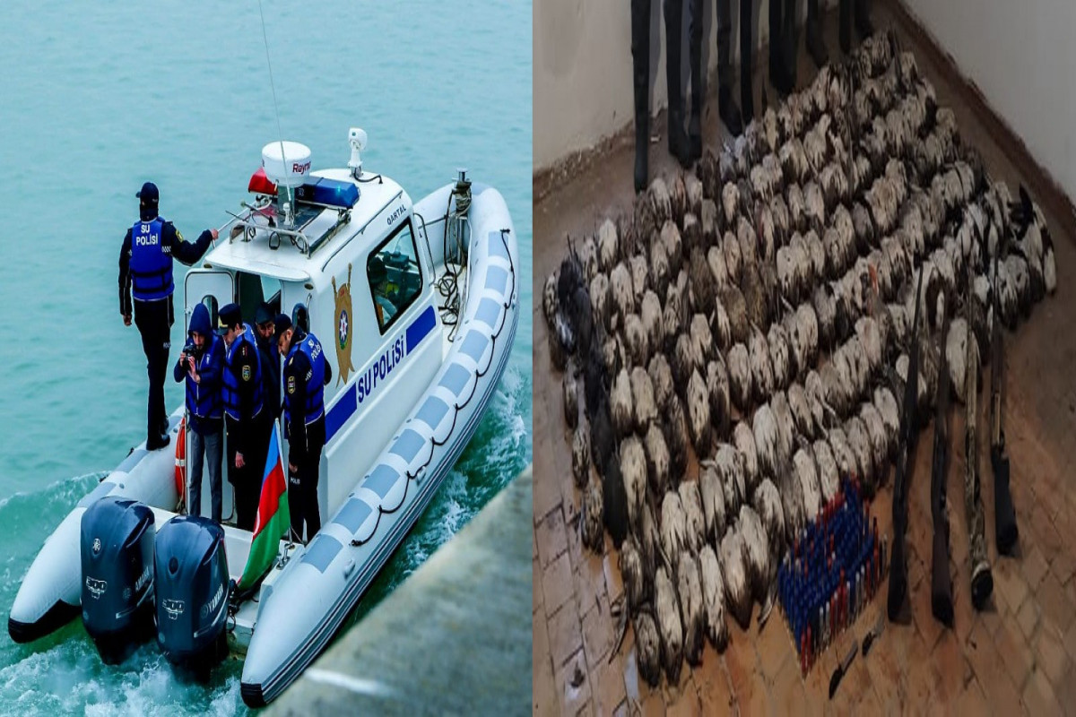 “Qırmızı Kitab”a düşən quşları ovlayanlar saxlanıldı - VİDEO