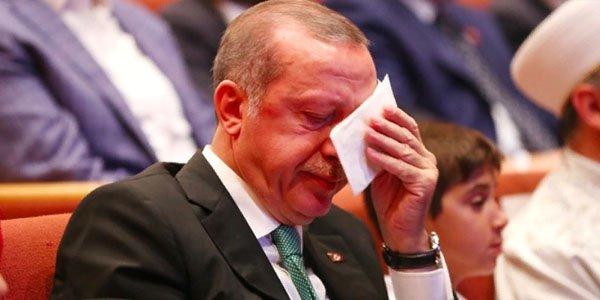 erdogan aglayir