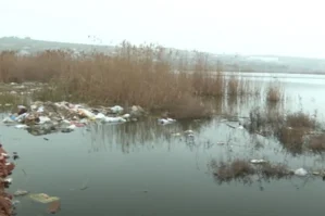 Abşeronda gölün səviyyəsi artıb: Həyətləri su basıb - VİDEO