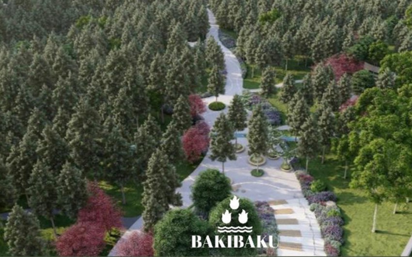 Bakının bu ərazisində park salınır – Rəsmi