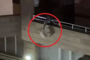 Bakıda pişiyə işgəncə verən gənc saxlanıldı - VİDEO