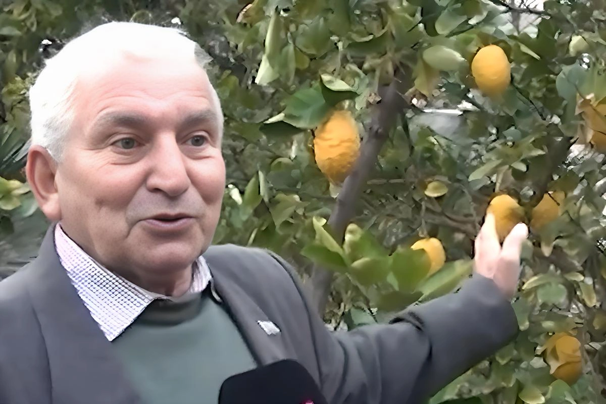 76 yaşlı sakin qayınatasından qalan məhəlləni gülüstana çevirib - VİDEO 1 76 yaşlı sakin qayınatasından qalan məhəlləni gülüstana çevirib - VİDEO