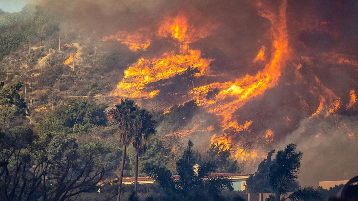 Yanğınlar bu silahla törədilib?