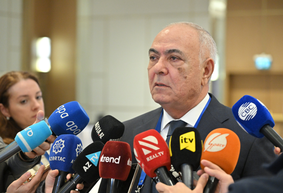 Saytlara kiberhücumla bağlı rəsmi açıqlama - VİDEO