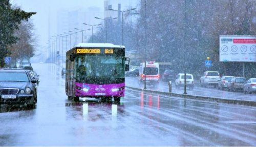 avtobus