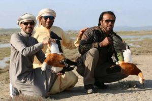 Qanunsuz ov edən ərəblər cərimələndi - Məbləğ