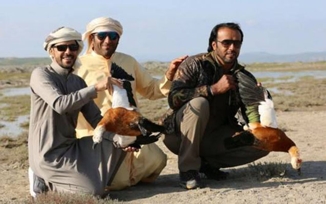 Qanunsuz ov edən ərəblər cərimələndi - Məbləğ