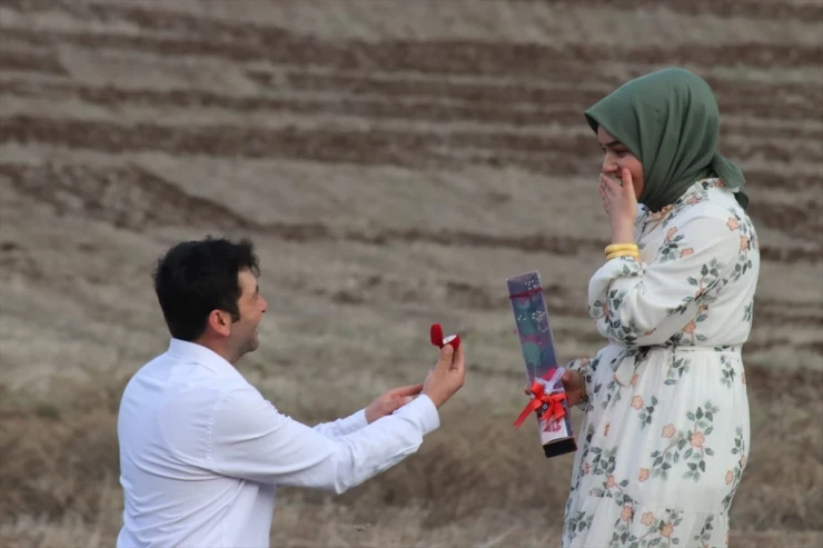 Türkiyəli fermerdən qeyri-adi evlilik təklifi - VİDEO