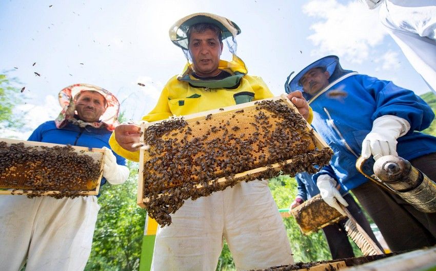 Prezidentin yediyi məhsul dünyaya çıxarılacaq – Adı da bəllidir