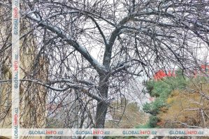 20 dərəcəyədək şaxta qeydə alınıb - Faktiki hava