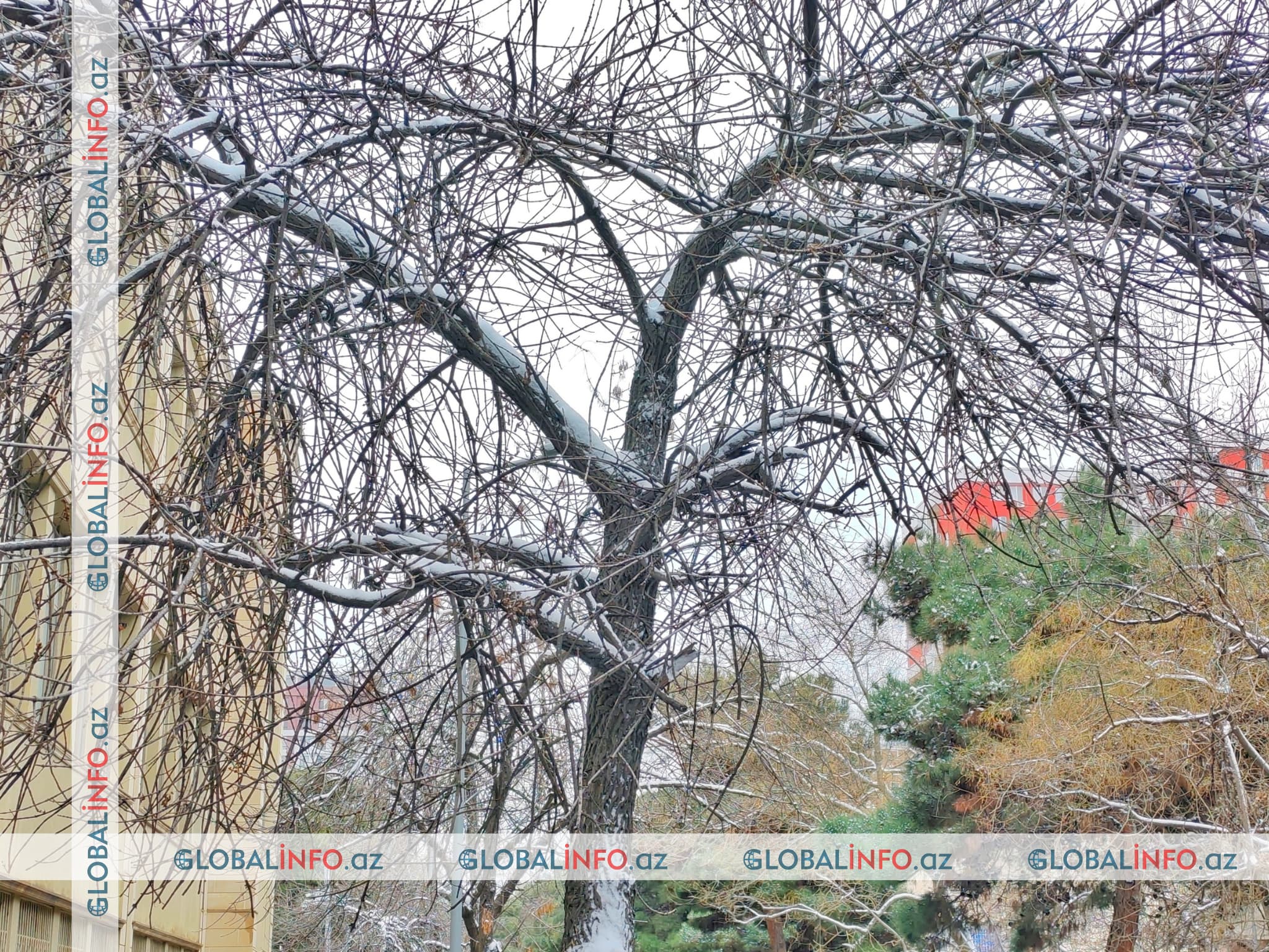 20 dərəcəyədək şaxta qeydə alınıb - Faktiki hava