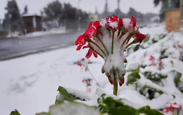 Havalar kəskin dəyişir: qar yağacaq - Xəbərdarlıq 1 qarli hava 1