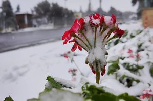 Hava daha da soyuyacaq: zərurət olmadıqda evdən çıxmayın - VİDEO