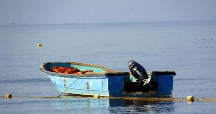 Kürdə balıq tutan iki nəfər itkin düşdü - kimlikləri bəlli oldu