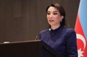 Beynəlxalq ictimaiyyət çağırışlarımıza cavab vermir - Ombudsman