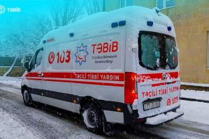 tebib qar