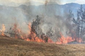 Gədəbəydə dağlqı ərazidə yanğın olub