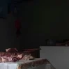 ZcdglXEUPgbrqnnxLwILM99b7LTAj69I06SIMlpk 1200
